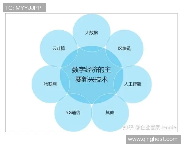 以网络建设为核心推动数字经济发展新机遇与挑战分析 以网络建设为核心推动数字经济发展新机遇与挑战分析