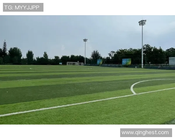 西安飞盘队荣登全国飞盘状态排行榜第九名展现强劲实力 西安飞盘队荣登全国飞盘状态排行榜第九名展现强劲实力