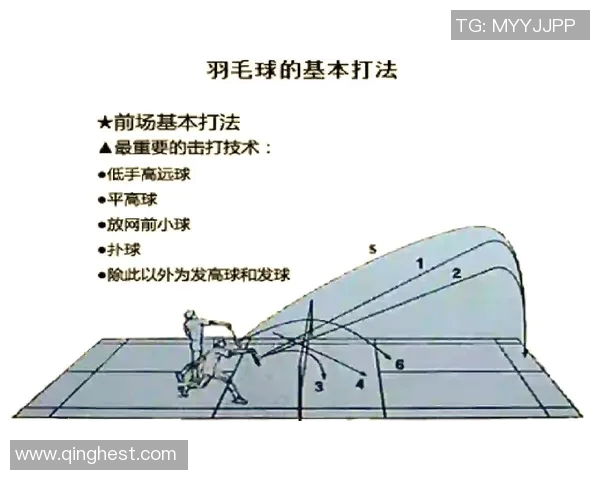 北京羽毛球队整体压制战术解析与实战应用研究 北京羽毛球队整体压制战术解析与实战应用研究