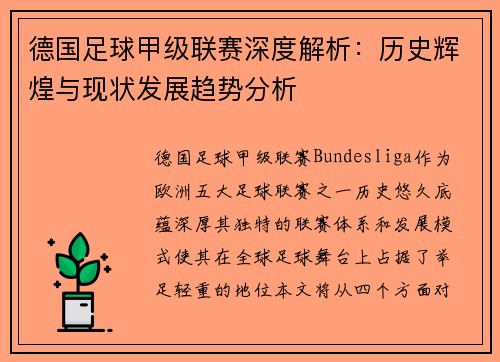 德国足球甲级联赛深度解析：历史辉煌与现状发展趋势分析