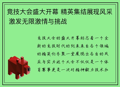 竞技大会盛大开幕 精英集结展现风采 激发无限激情与挑战