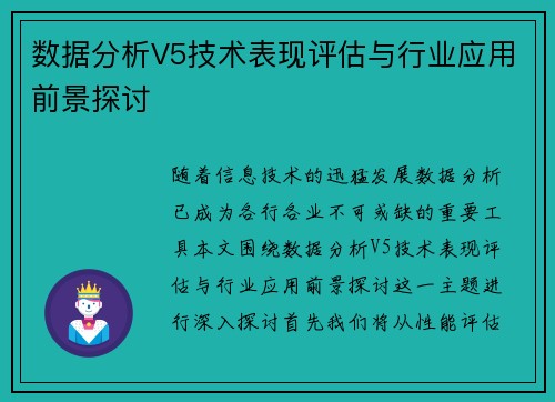 数据分析V5技术表现评估与行业应用前景探讨